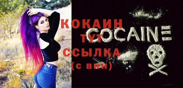 прущие крисы Кулебаки
