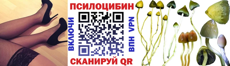 Псилоцибиновые грибы Psilocybine cubensis  Купить где  Орёл 