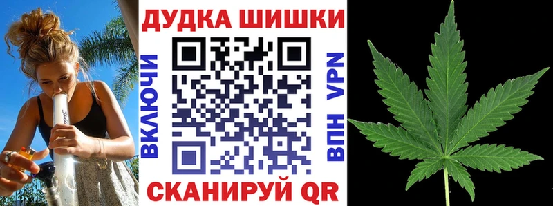 Конопля план  Купить где  Орёл 